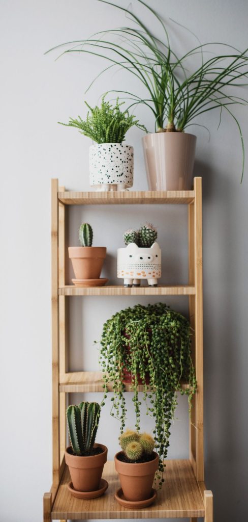 10 Timeless Floating Wood Shelf Ideas for Every Home