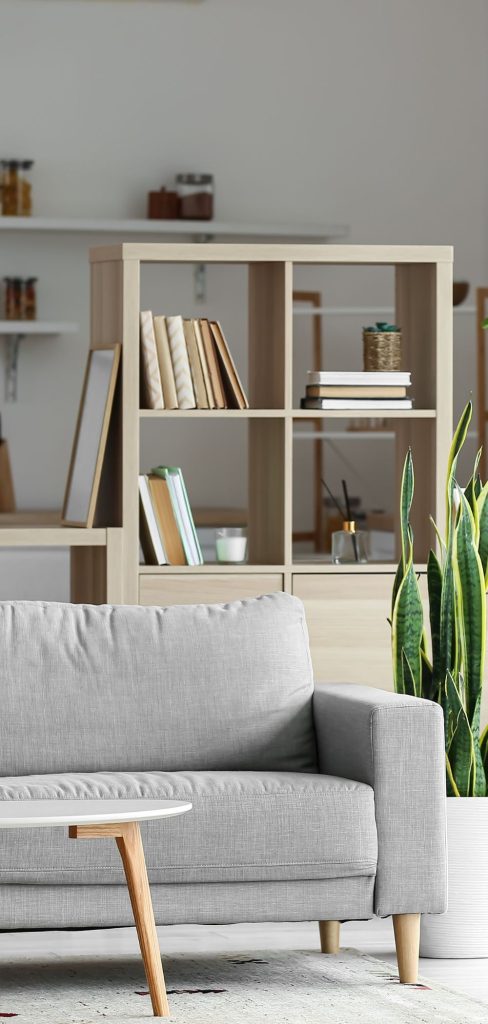 11 Unique Bookshelf Ideas That Double as Wall Art