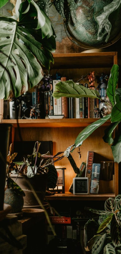 12 Creative Floating Bookshelf Ideas to Transform Your Space