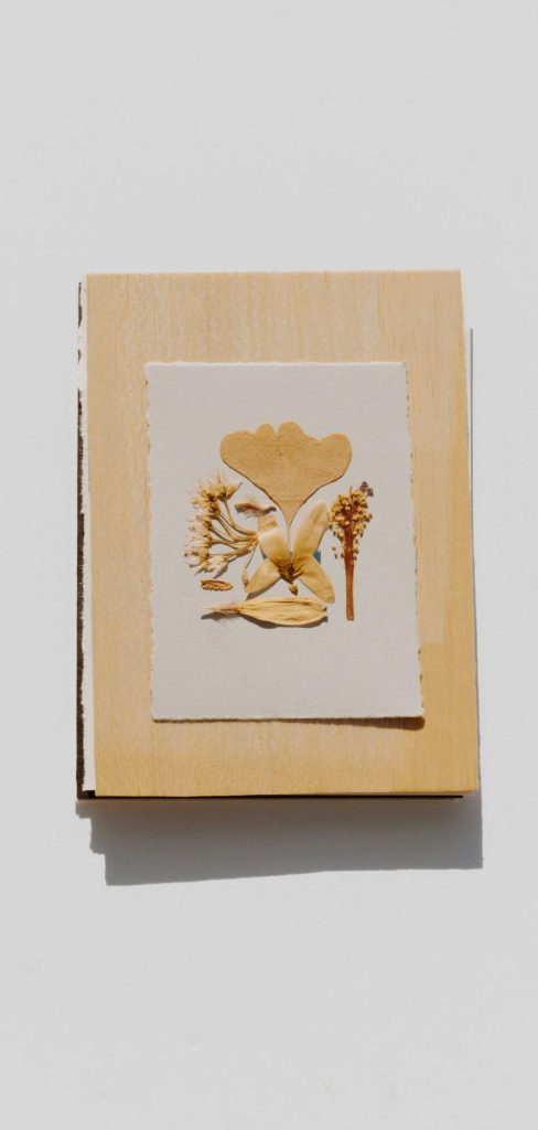 Botanical Recipe Canvas: Fresh and Natural