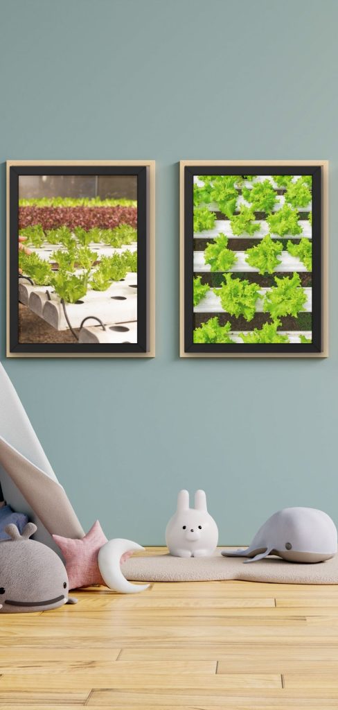 10 Poster Print Ideas for a Stylish Bedroom in Zone 5